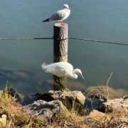 ヒメ日記 2026/01/17 17:33 投稿 ひろこ 五反田・品川おかあさん