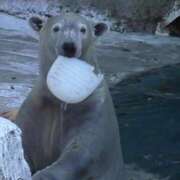 ヒメ日記 2026/01/22 14:13 投稿 ひろこ 五反田・品川おかあさん