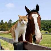 ヒメ日記 2026/02/06 12:23 投稿 ひろこ 五反田・品川おかあさん