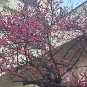 ヒメ日記 2026/02/09 09:43 投稿 ひろこ 五反田・品川おかあさん