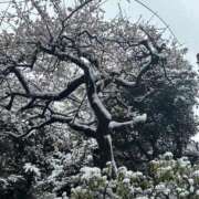 ヒメ日記 2026/02/12 09:53 投稿 ひろこ 五反田・品川おかあさん