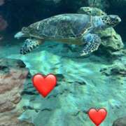 ヒメ日記 2026/02/17 10:43 投稿 ひろこ 五反田・品川おかあさん