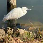 ヒメ日記 2026/02/18 09:40 投稿 ひろこ 五反田・品川おかあさん