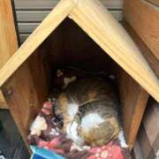 ヒメ日記 2026/02/20 17:23 投稿 ひろこ 五反田・品川おかあさん