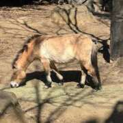 ヒメ日記 2026/02/21 18:43 投稿 ひろこ 五反田・品川おかあさん