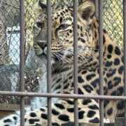 ヒメ日記 2026/02/24 17:53 投稿 ひろこ 五反田・品川おかあさん