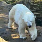 ヒメ日記 2026/02/25 10:33 投稿 ひろこ 五反田・品川おかあさん