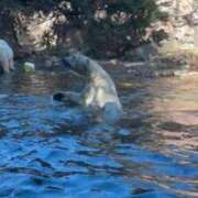 ヒメ日記 2026/02/28 11:13 投稿 ひろこ 五反田・品川おかあさん