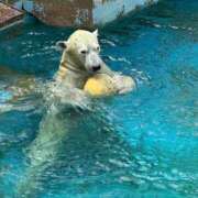 ヒメ日記 2026/03/02 09:03 投稿 ひろこ 五反田・品川おかあさん