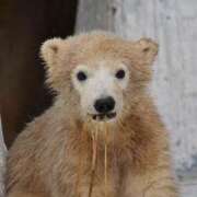 ヒメ日記 2026/03/03 09:53 投稿 ひろこ 五反田・品川おかあさん