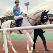 ヒメ日記 2026/03/06 22:53 投稿 ひろこ 五反田・品川おかあさん