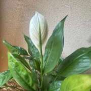 ヒメ日記 2026/03/07 12:03 投稿 ひろこ 五反田・品川おかあさん