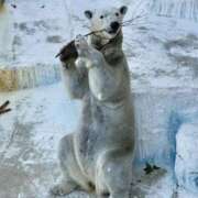 ヒメ日記 2026/03/09 10:13 投稿 ひろこ 五反田・品川おかあさん