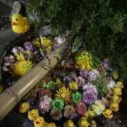 ヒメ日記 2026/03/12 18:33 投稿 ひろこ 五反田・品川おかあさん