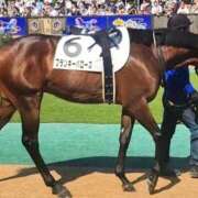 ヒメ日記 2026/03/14 17:53 投稿 ひろこ 五反田・品川おかあさん