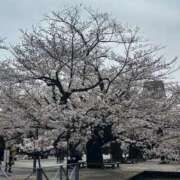 ヒメ日記 2026/03/16 09:23 投稿 ひろこ 五反田・品川おかあさん