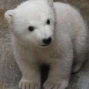 ヒメ日記 2026/03/19 15:56 投稿 ひろこ 五反田・品川おかあさん