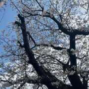 ヒメ日記 2026/03/27 18:43 投稿 ひろこ 五反田・品川おかあさん