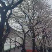 ヒメ日記 2026/03/27 21:03 投稿 ひろこ 五反田・品川おかあさん