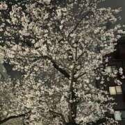 ヒメ日記 2026/03/29 13:33 投稿 ひろこ 五反田・品川おかあさん