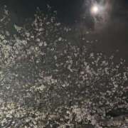 ヒメ日記 2026/04/01 12:53 投稿 ひろこ 五反田・品川おかあさん