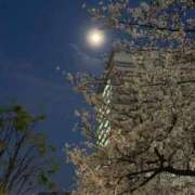 ヒメ日記 2026/04/02 14:03 投稿 ひろこ 五反田・品川おかあさん