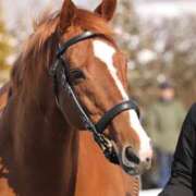 ヒメ日記 2026/04/02 14:13 投稿 ひろこ 五反田・品川おかあさん