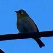 ヒメ日記 2026/04/07 10:01 投稿 ひろこ 五反田・品川おかあさん