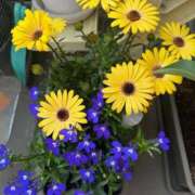 ヒメ日記 2026/04/13 09:21 投稿 ひろこ 五反田・品川おかあさん