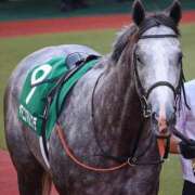 ヒメ日記 2026/04/16 12:13 投稿 ひろこ 五反田・品川おかあさん