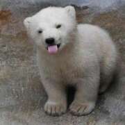 ヒメ日記 2026/04/18 11:33 投稿 ひろこ 五反田・品川おかあさん