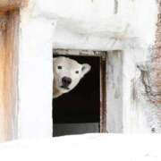 ヒメ日記 2026/04/25 11:03 投稿 ひろこ 五反田・品川おかあさん