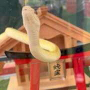 ヒメ日記 2026/06/27 19:13 投稿 ひろこ 五反田・品川おかあさん
