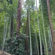 ヒメ日記 2026/08/03 09:33 投稿 ひろこ 五反田・品川おかあさん