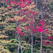 わかな 三連休のまんなか🍁 五反田・品川おかあさん