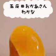 ヒメ日記 2025/03/21 19:03 投稿 わかな 五反田・品川おかあさん