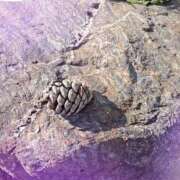 ヒメ日記 2026/01/18 10:13 投稿 わかな 五反田・品川おかあさん