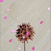 ヒメ日記 2026/03/08 08:33 投稿 わかな 五反田・品川おかあさん