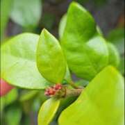 ヒメ日記 2026/03/28 10:53 投稿 わかな 五反田・品川おかあさん