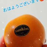 ヒメ日記 2026/04/12 08:30 投稿 わかな 五反田・品川おかあさん