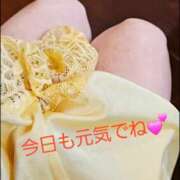 ヒメ日記 2026/04/14 09:37 投稿 わかな 五反田・品川おかあさん