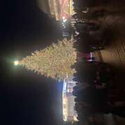 ヒメ日記 2025/12/08 09:08 投稿 宮沢そら 乳ビーナス(New Venus)