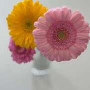 ヒメ日記 2025/04/03 19:35 投稿 瑠花/Ruka VERY（ヴェリィ)