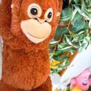 ヒメ日記 2026/03/05 13:27 投稿 瑠花/Ruka VERY（ヴェリィ)