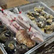 ヒメ日記 2025/02/28 09:46 投稿 まい/Mai VERY（ヴェリィ)