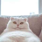 ヒメ日記 2025/03/07 15:11 投稿 まい/Mai VERY（ヴェリィ)