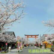 ヒメ日記 2025/03/31 14:04 投稿 まい/Mai VERY（ヴェリィ)