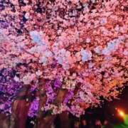 ヒメ日記 2025/04/02 22:46 投稿 まい/Mai VERY（ヴェリィ)