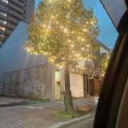 ヒメ日記 2025/10/16 17:55 投稿 まい/Mai VERY（ヴェリィ)