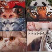 ヒメ日記 2025/11/11 17:47 投稿 まい/Mai VERY（ヴェリィ)